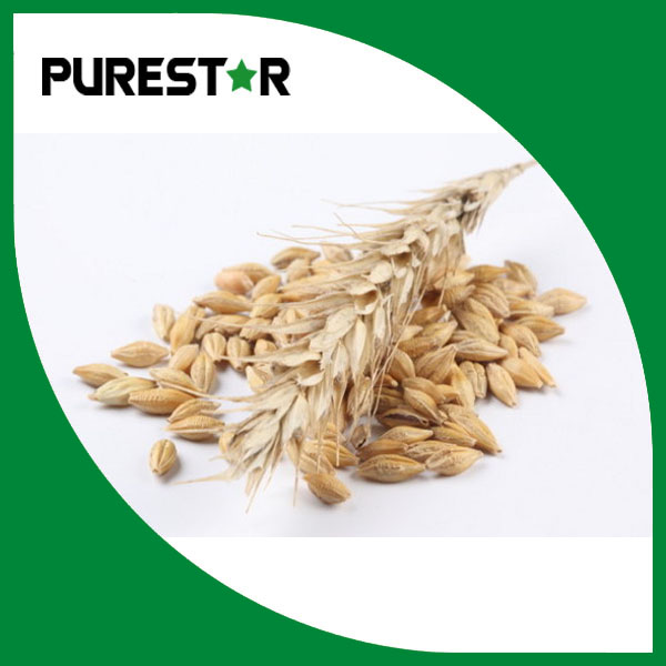 Oat Beta Glucan powder 45%