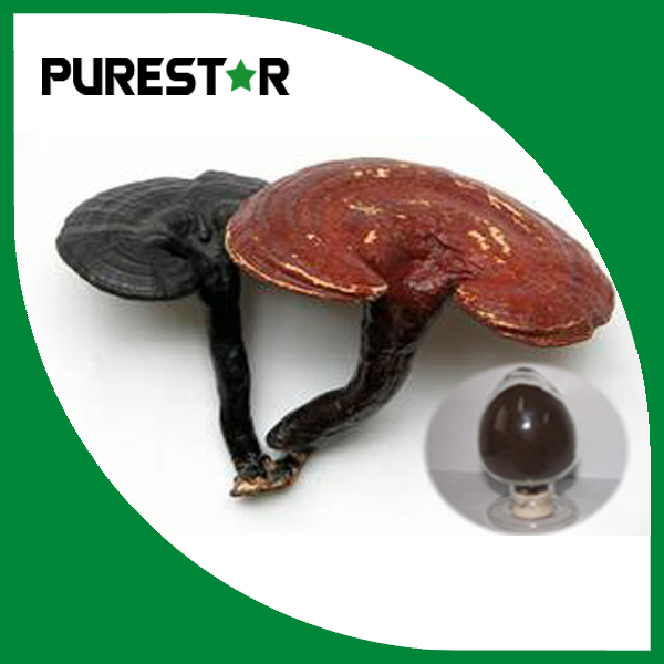 Ganoderma lucidum extract 30% Beta Glucan