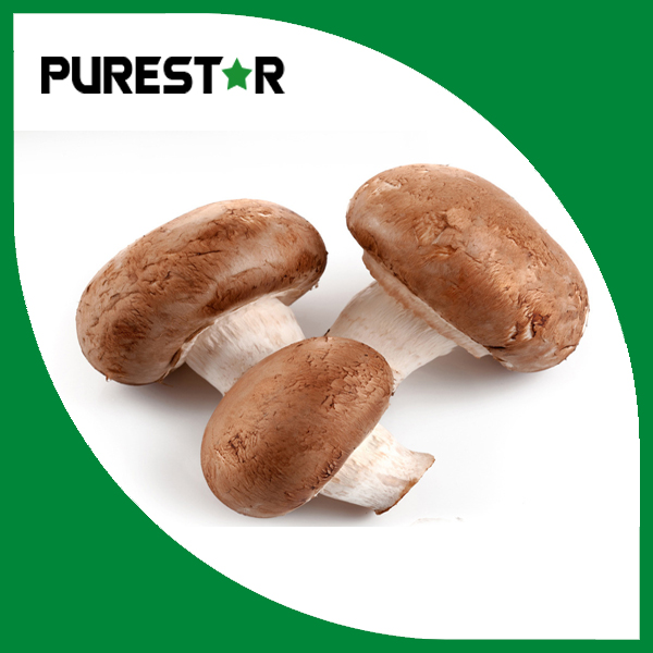 Lentinus edodes extract 30% Beta Glucan