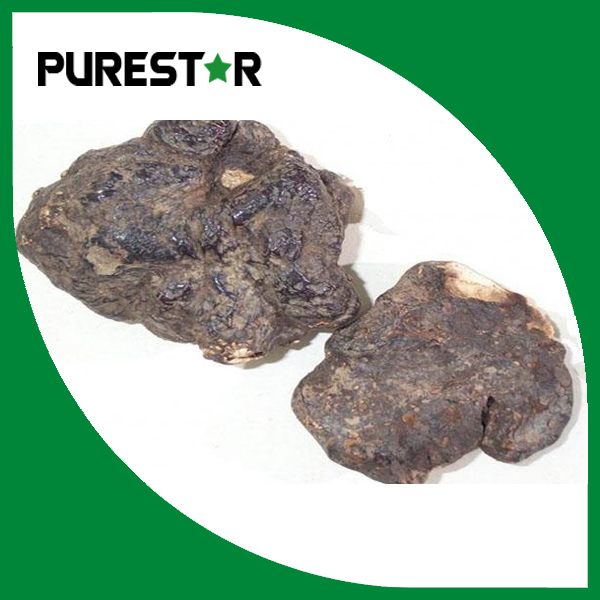 Polyporus umbellatus extract 20% Beta Glucan