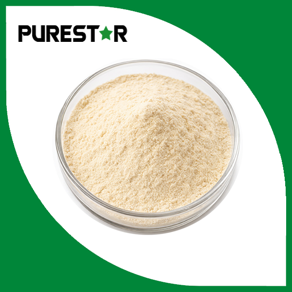 Yeast Protein