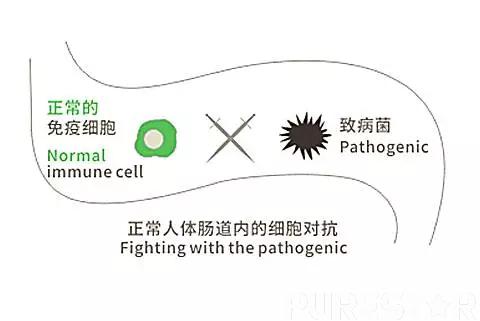 yeast beta glucan efsa