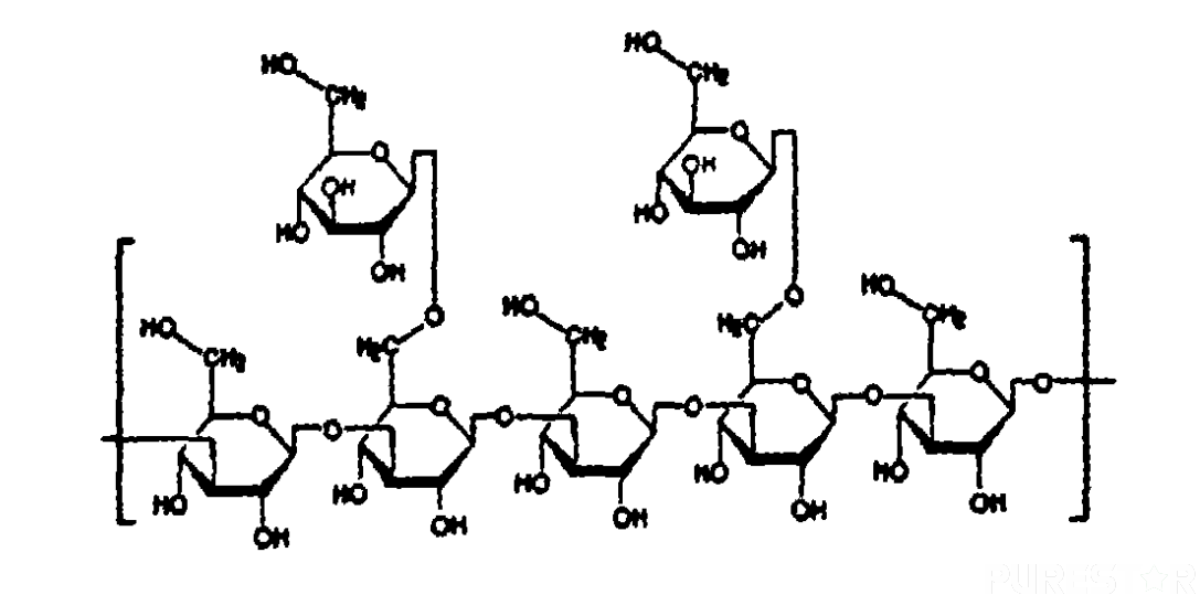 Molecular structure of yeast beta glucan