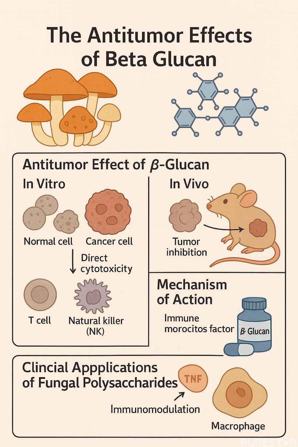 Antitumor Effects of Beta Glucan