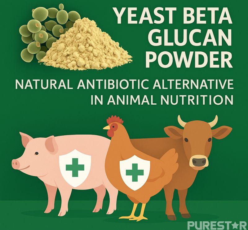 <a href=http://bulkbetaglucan.com/Yeast-Beta-Glucan.html target='_blank'>yeast beta glucan powder</a> supports animal immunity as a natural antibiotic alternative. <a href=http://bulkbetaglucan.com/Yeast-Beta-Glucan.html target='_blank'>Yeast beta glucan</a> powder supports animal immunity as a natural antibiotic alternative.